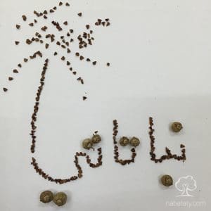 بذور حناء