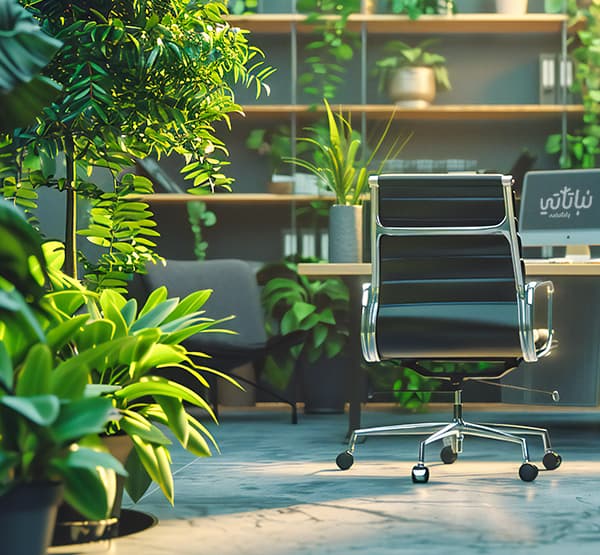 نباتات مكتبية