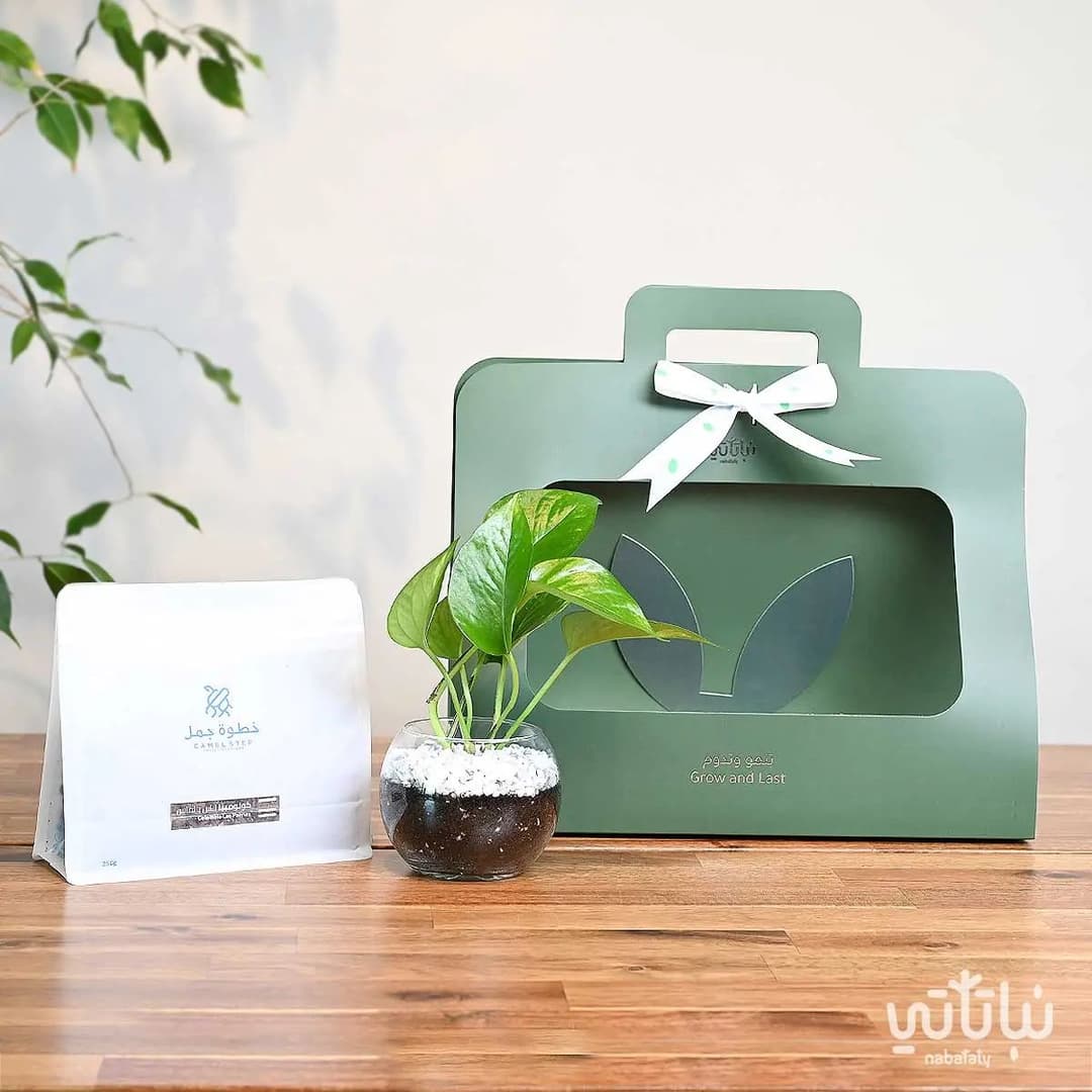 هدية نبتة و قهوة  