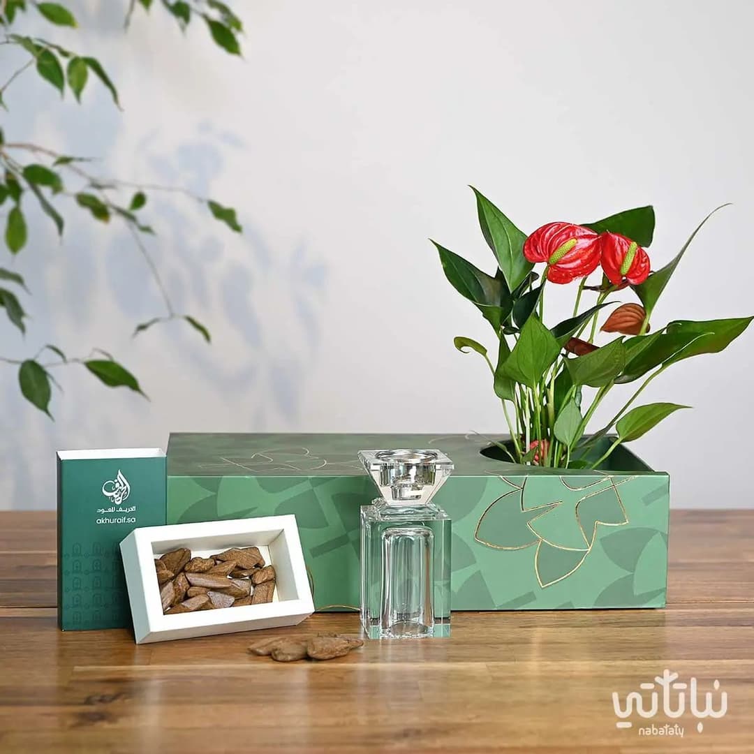 هدية نبتة و عود  
