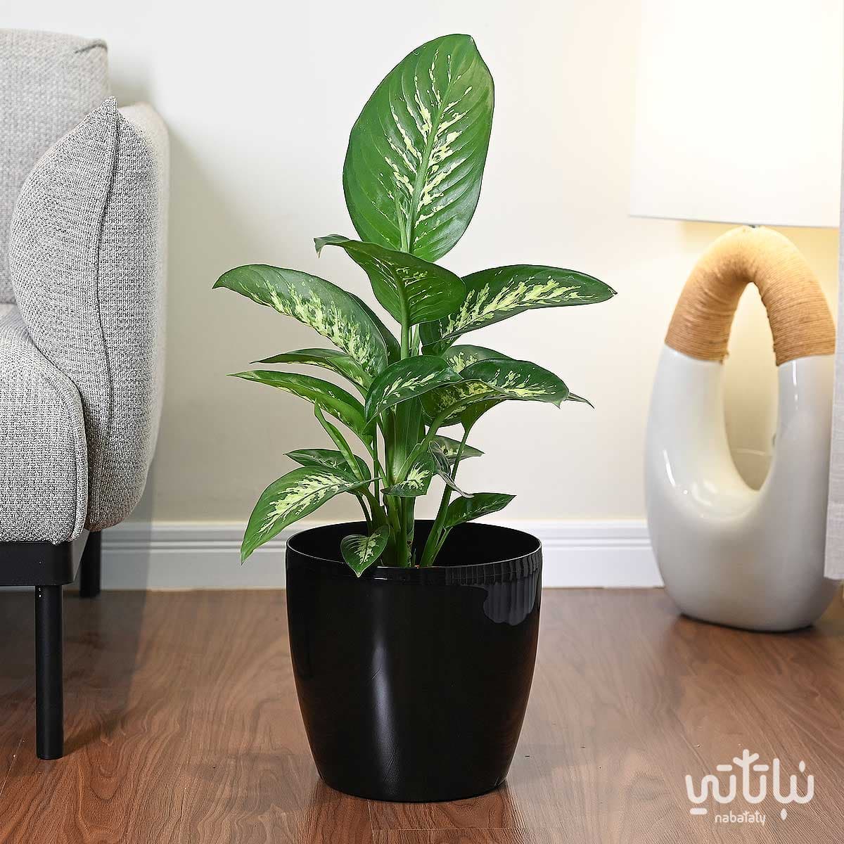 Self-watering pot 28 cm black 2