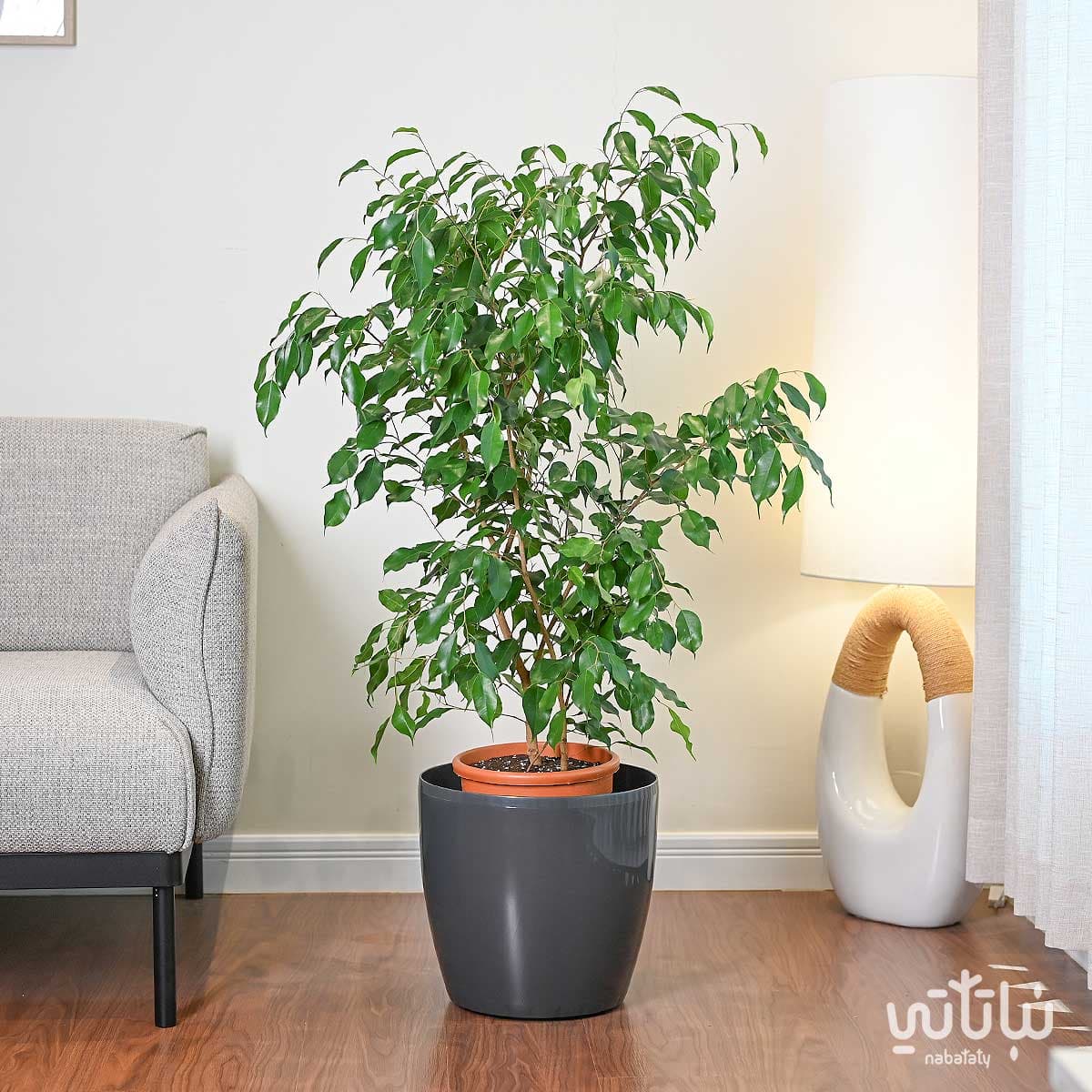 Self watering pot 35 cm gray 2