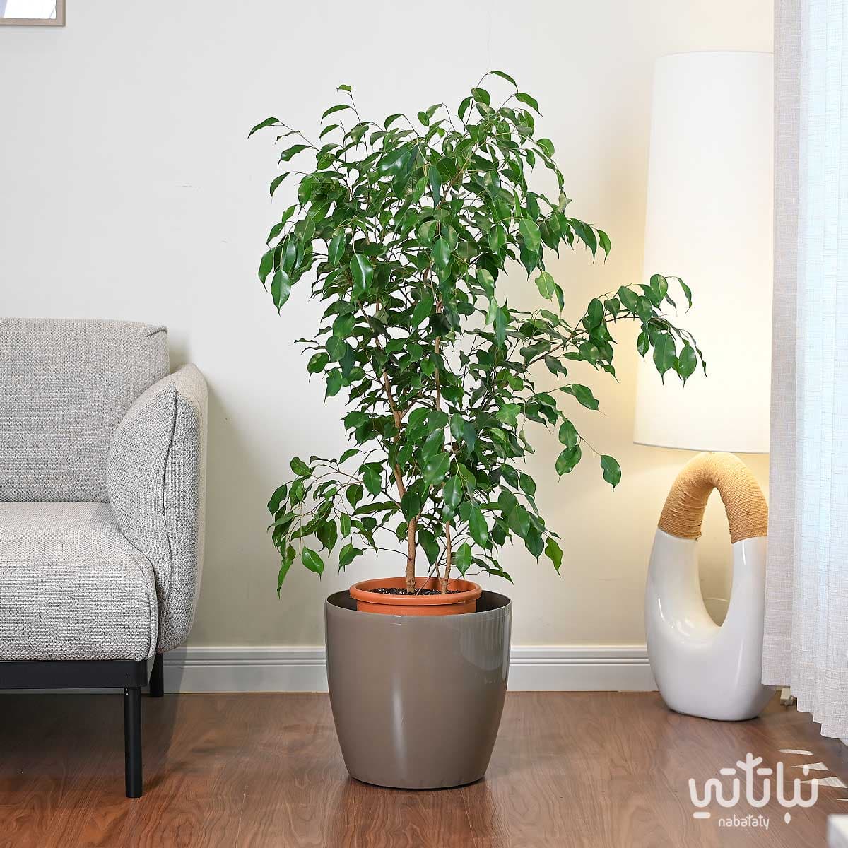 Self watering pot 35 cm oily 2