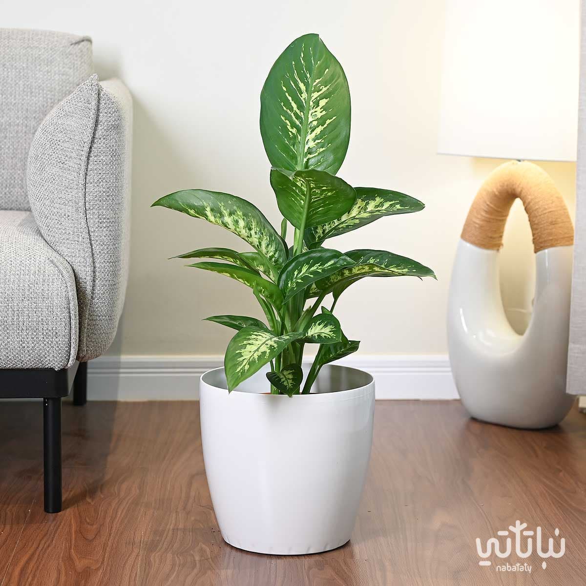 Self-watering pot 28 cm white 2