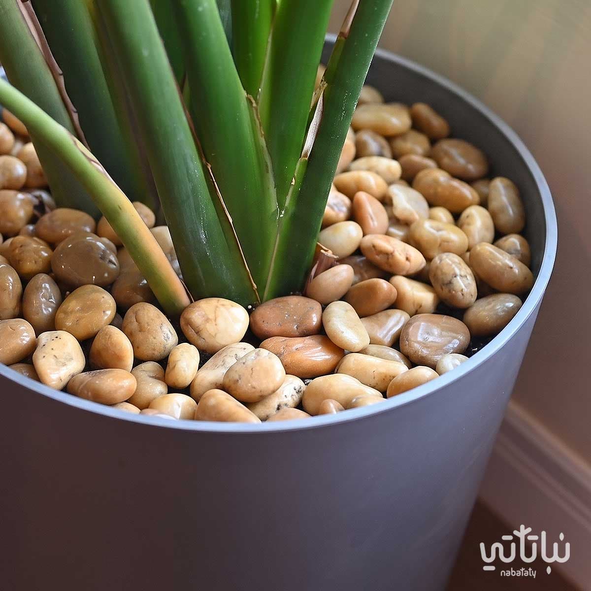 حجر زينة نهري لامع لون بني