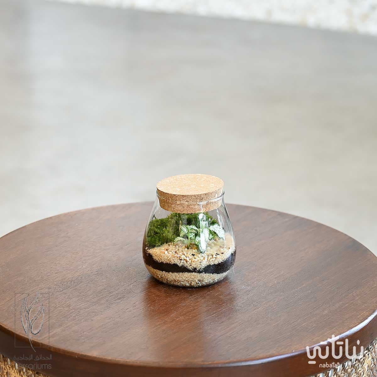 حديقة فيتونيا خضراء صغيرة 1