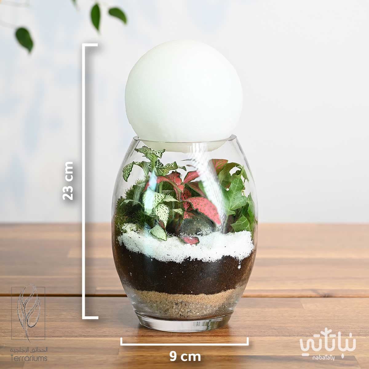 غابة القمر 3