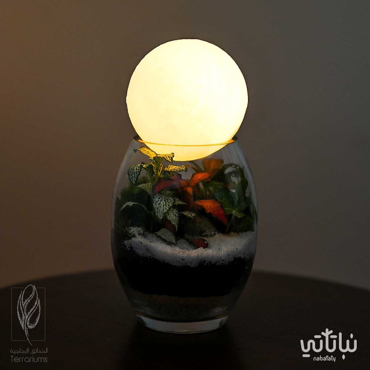 غابة القمر 2