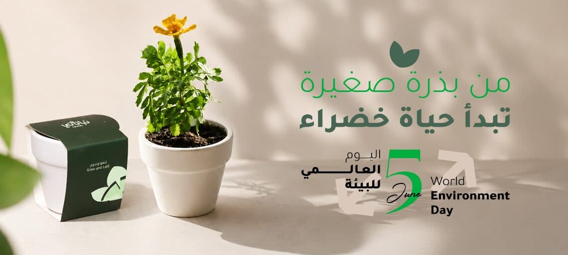 Nabataty Banner