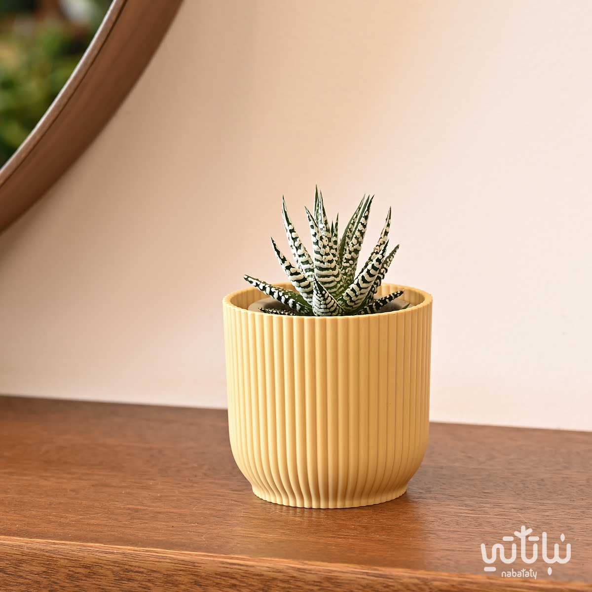 حوض بلاستيك دائري مخطط اصفر فاتح 9 سم 2