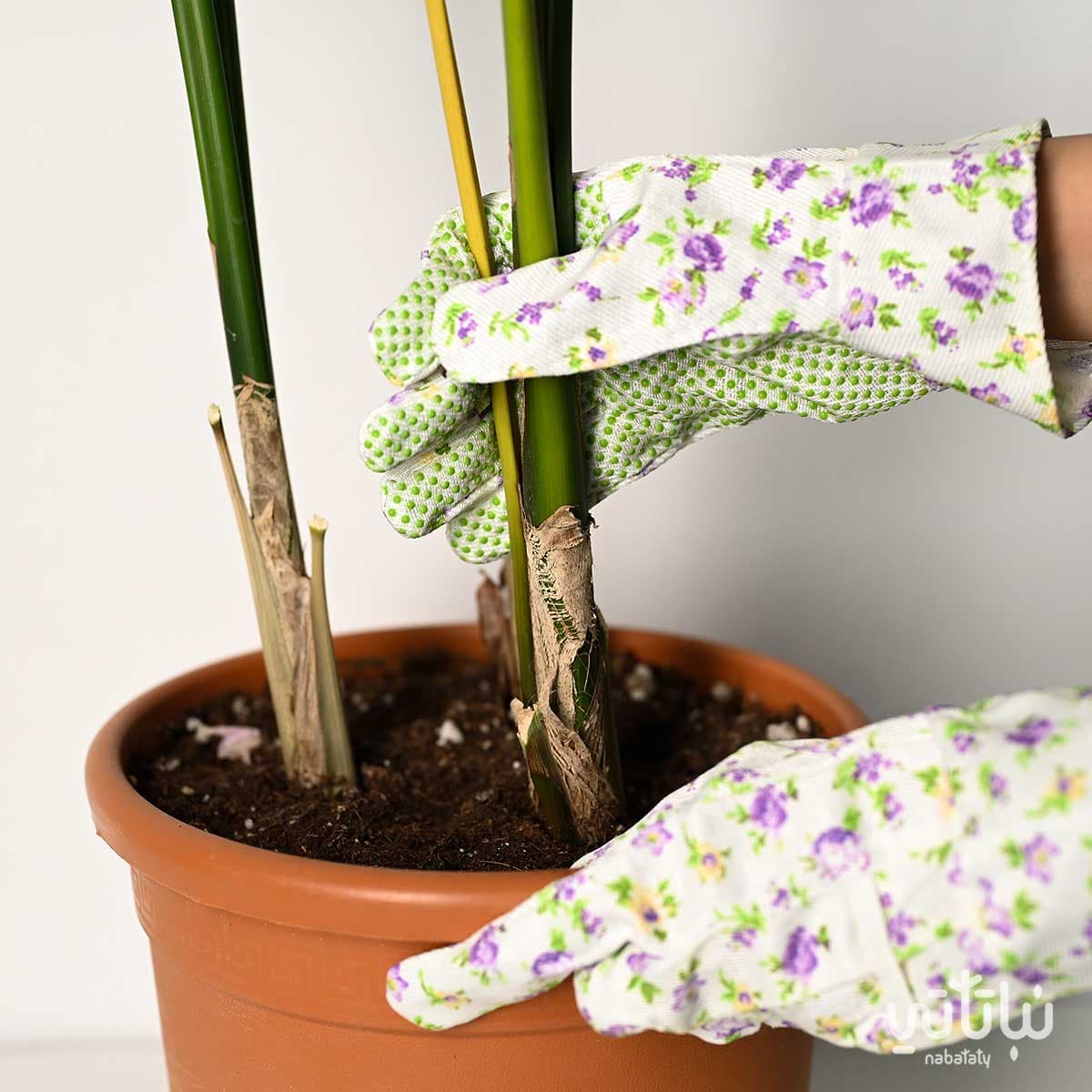 قفازات حديقة 2