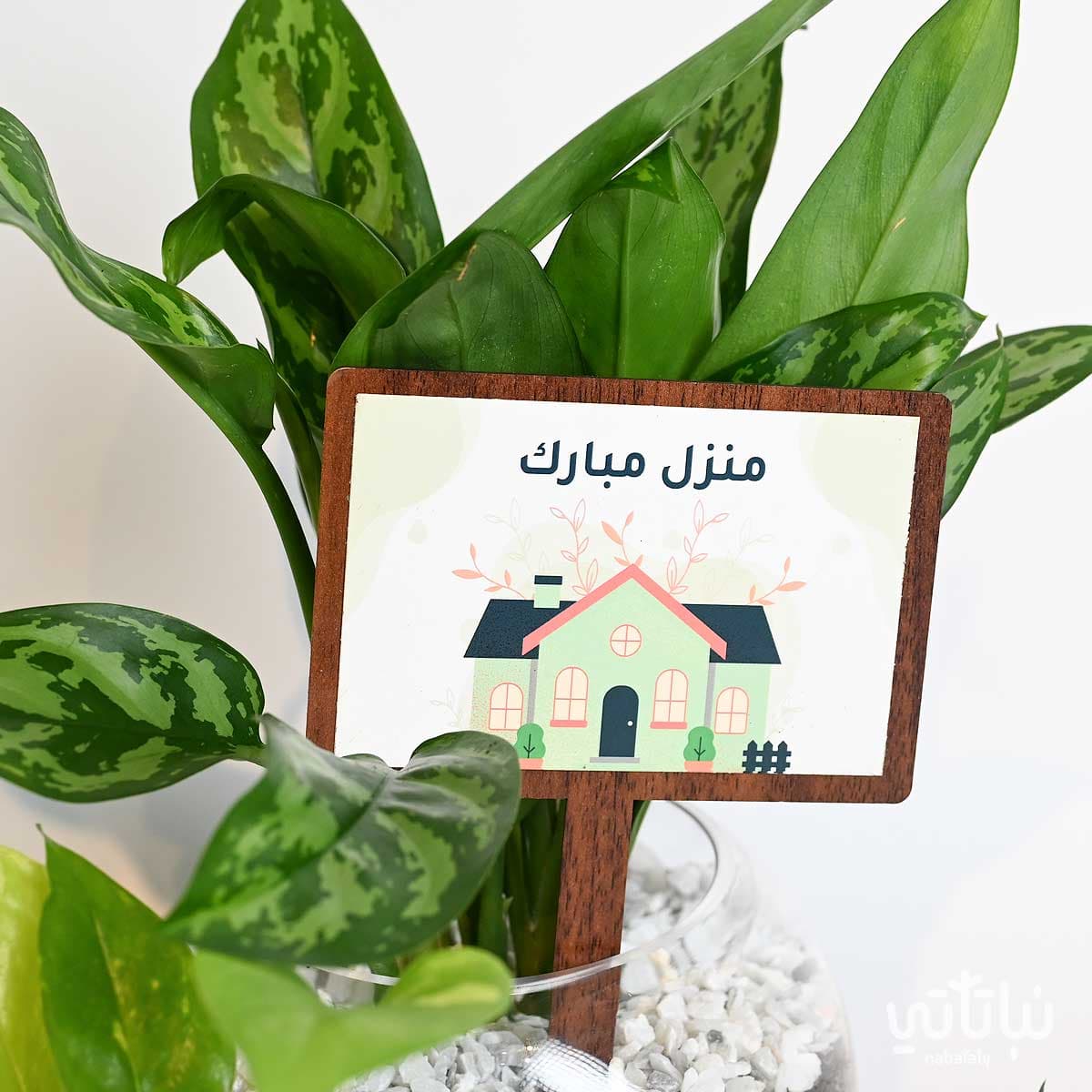 هدية منزل مبارك المجموعة الزجاجية 2