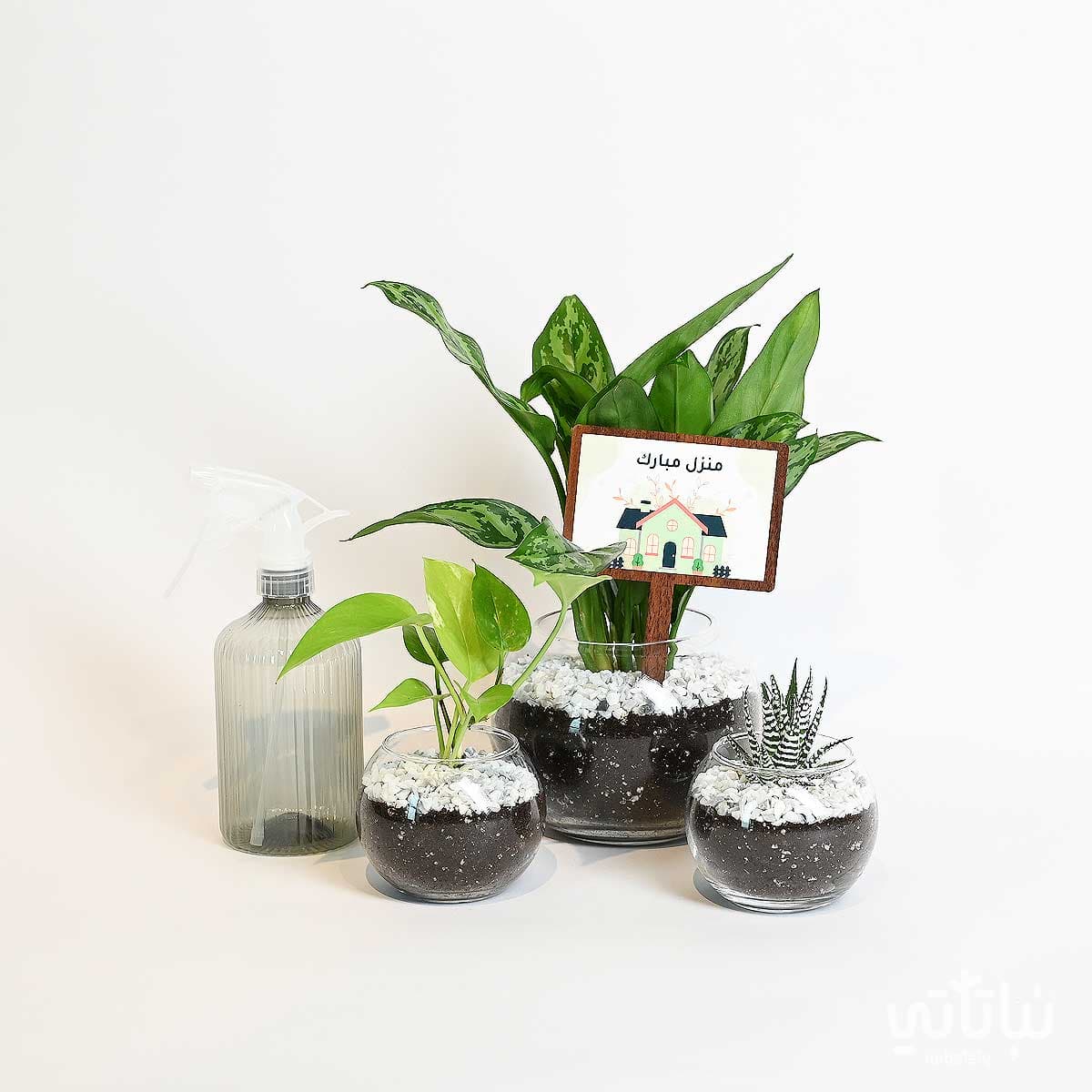 هدية منزل مبارك المجموعة الزجاجية