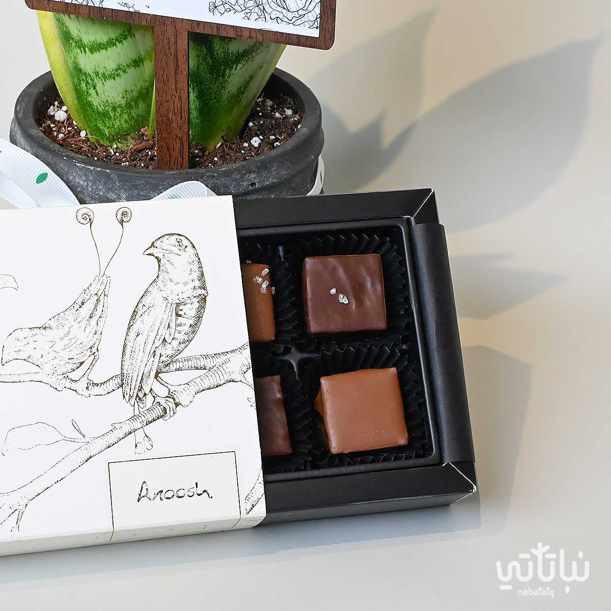 هدية الزواج نبتة جلد النمر وتشوكلت أنوش 3