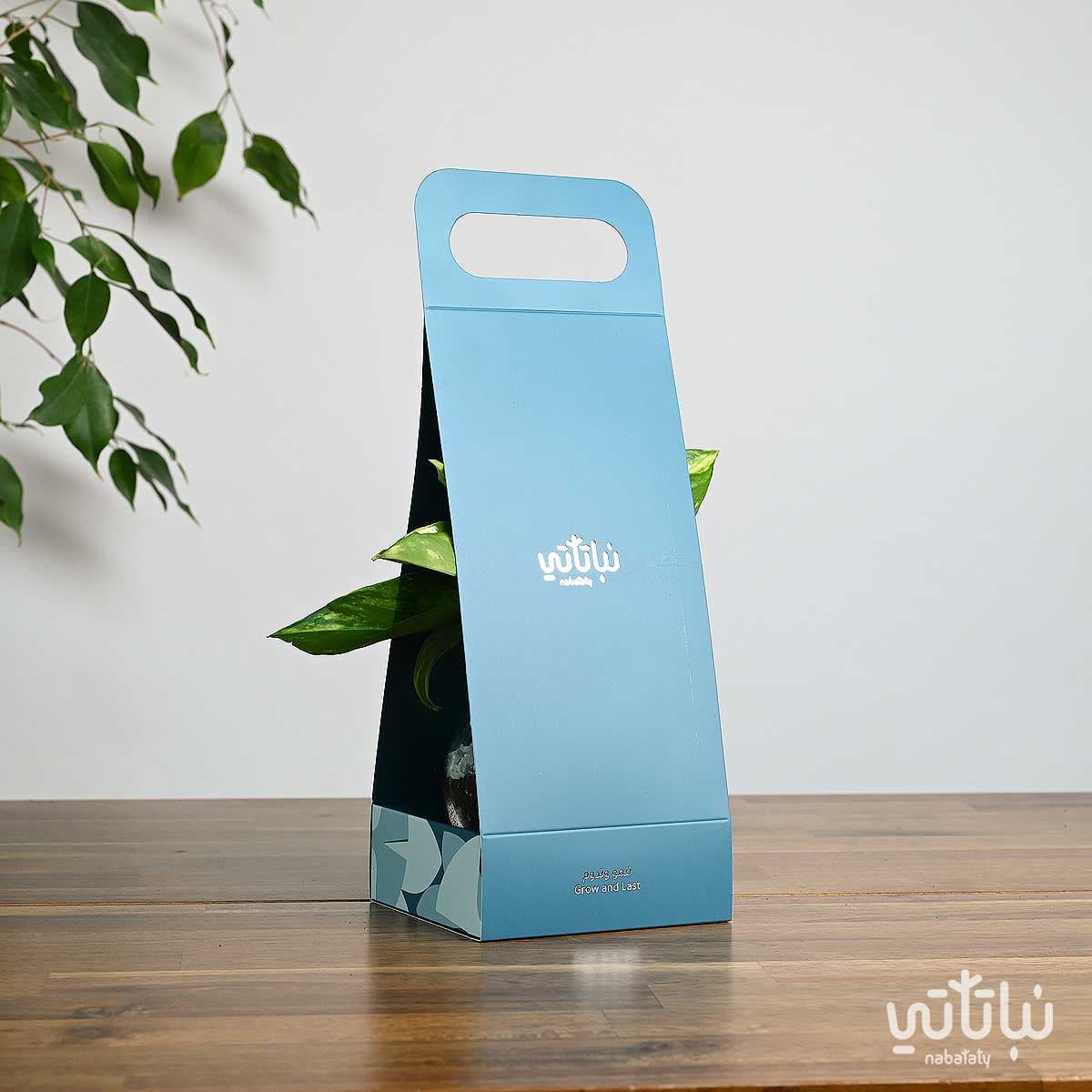 هدية هولدر نبتة البوتس ازرق 3