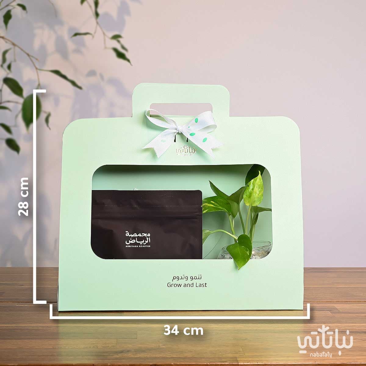 هدية نبتة البوتس اخضر فاتح مع قهوة شارع الشميسي أثيوبيا 3