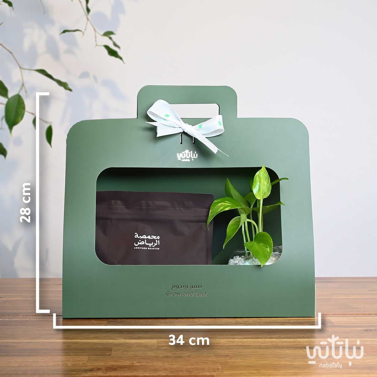 هدية نبتة البوتس اخضر مع قهوة شارع الشميسي أثيوبيا 3