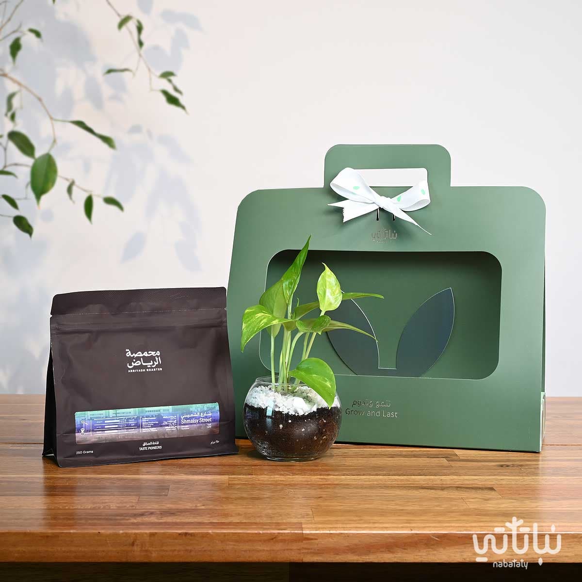 هدية نبتة البوتس اخضر مع قهوة شارع الشميسي أثيوبيا