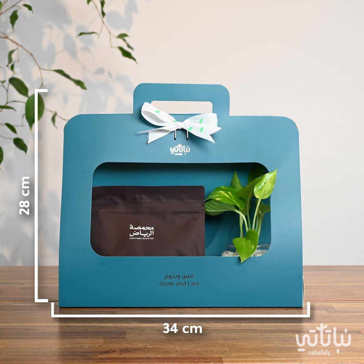 هدية نبتة البوتس ازرق مع قهوة شارع الشميسي أثيوبيا 2