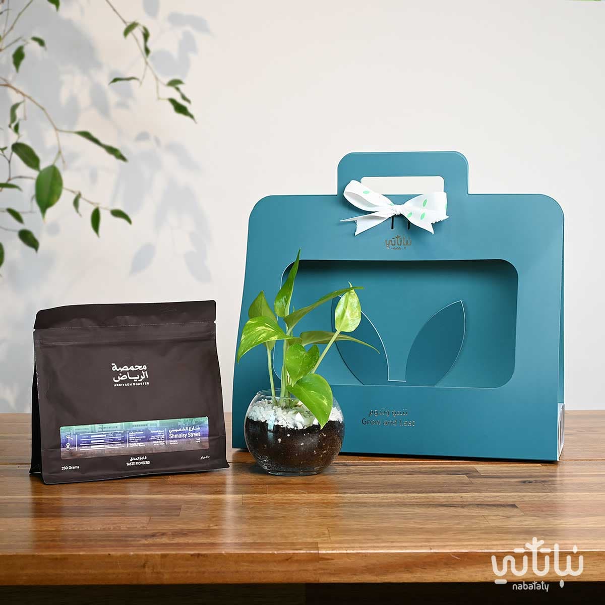 هدية نبتة البوتس ازرق مع قهوة شارع الشميسي أثيوبيا