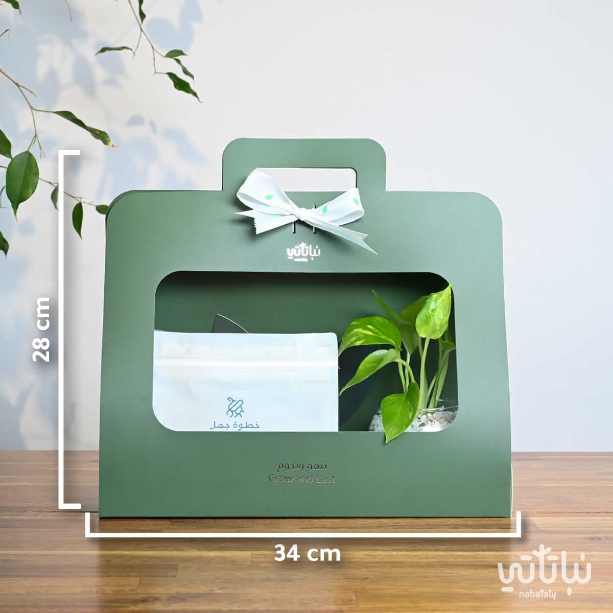 هدية نبتة البوتس اخضر مع قهوة كولومبيا فوندو 3