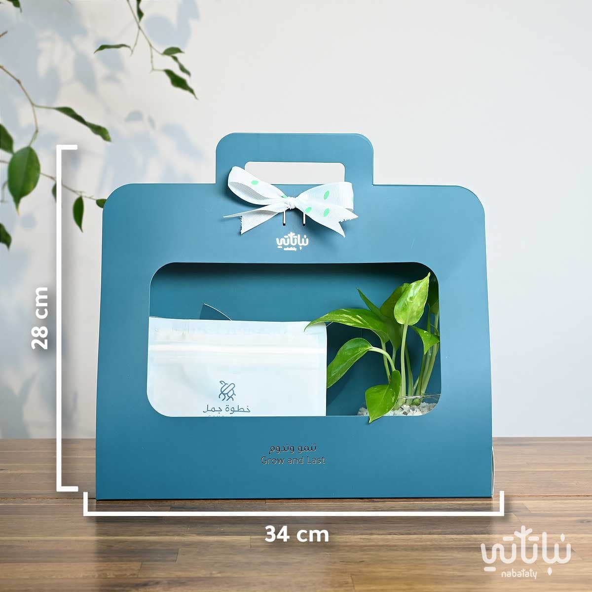 هدية نبتة البوتس ازرق مع قهوة كولومبيا فوندو 2