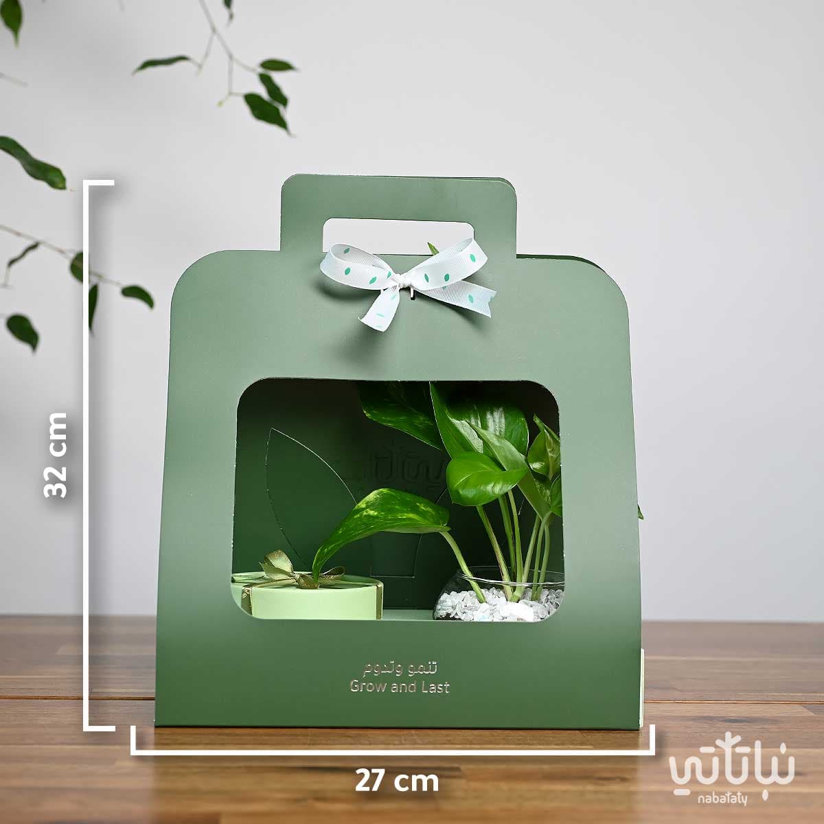 هدية نبتة البوتس مع تشوكلت أنوش 3