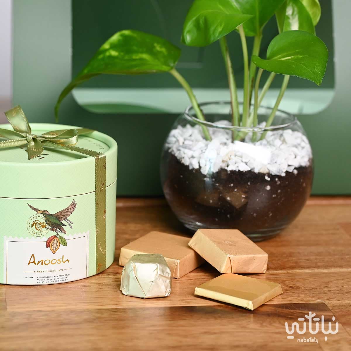 هدية نبتة البوتس مع تشوكلت أنوش 2