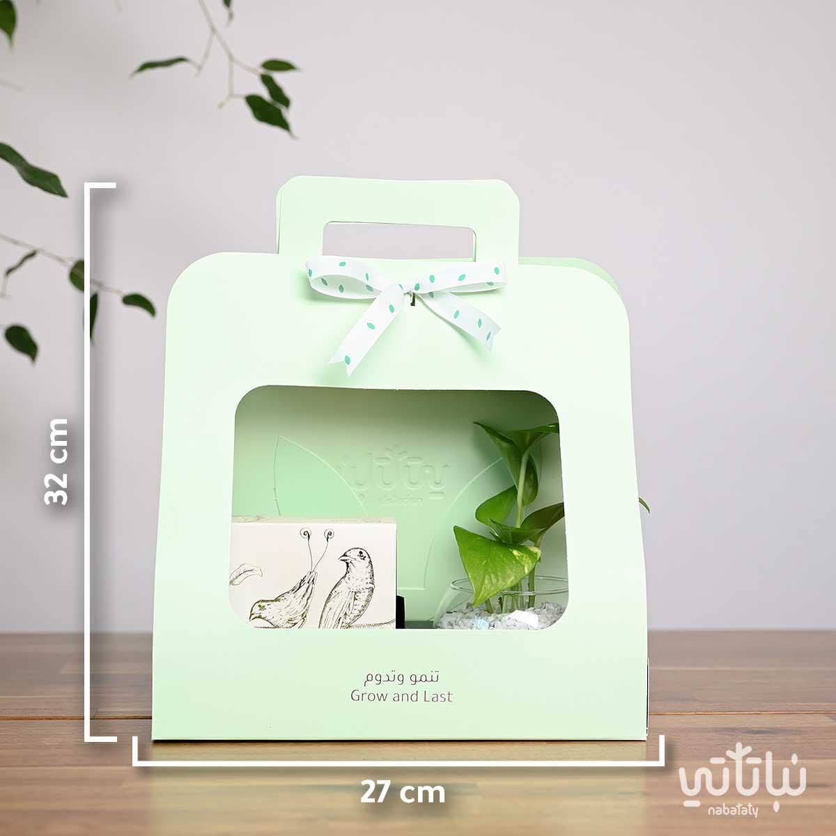 هدية نبتة البوتس مع تشوكلت أنوش 3