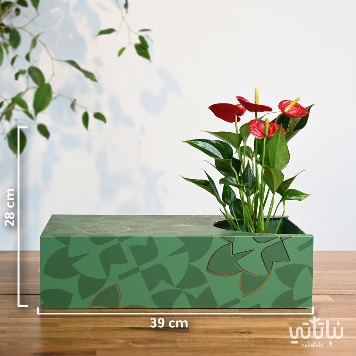 هدية نبتة الأنتوريوم مع تشوكلت أنوش ومرش ذهبي 5