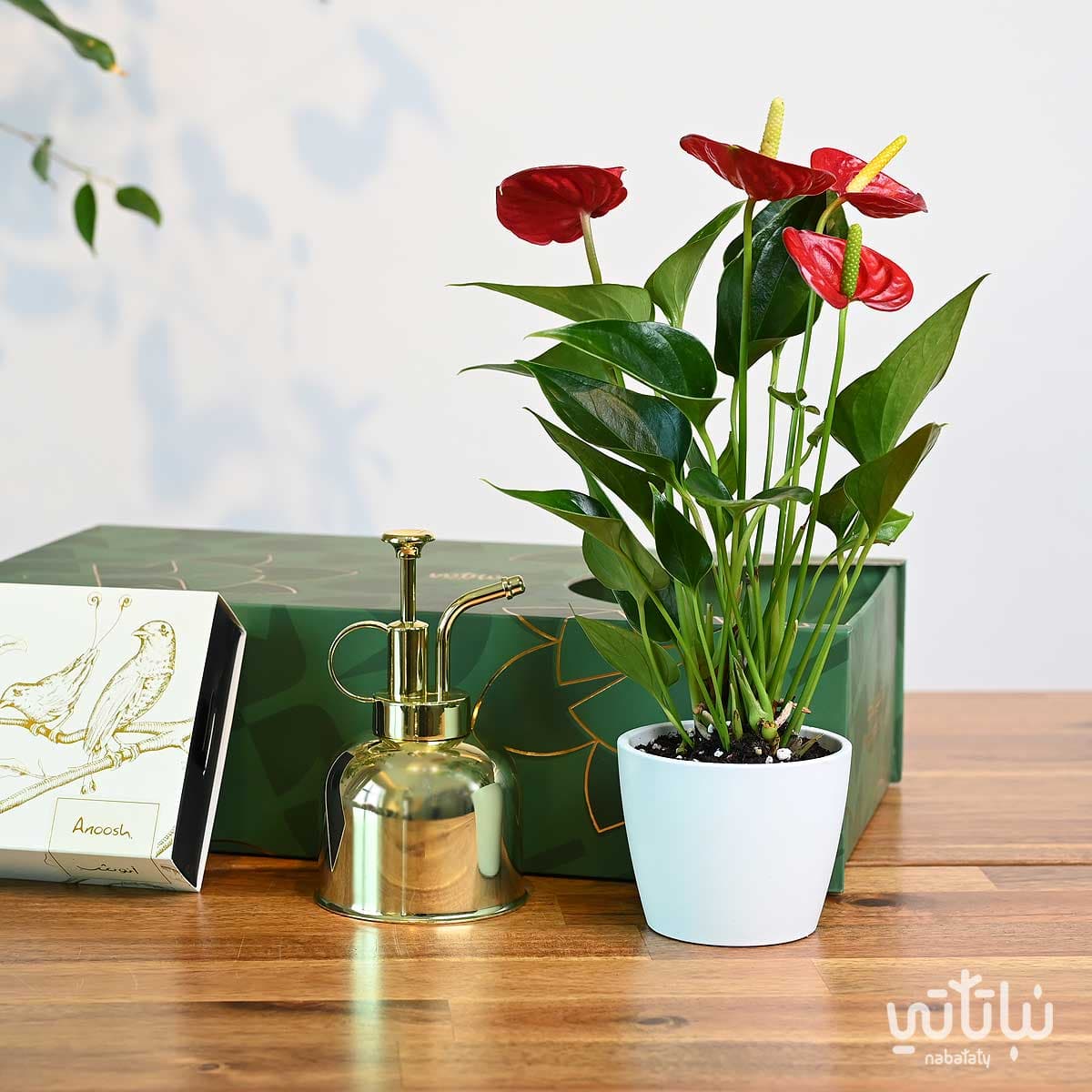 هدية نبتة الأنتوريوم مع تشوكلت أنوش ومرش ذهبي 4