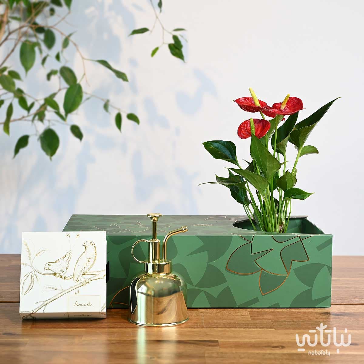 هدية نبتة الأنتوريوم مع تشوكلت أنوش ومرش ذهبي 3