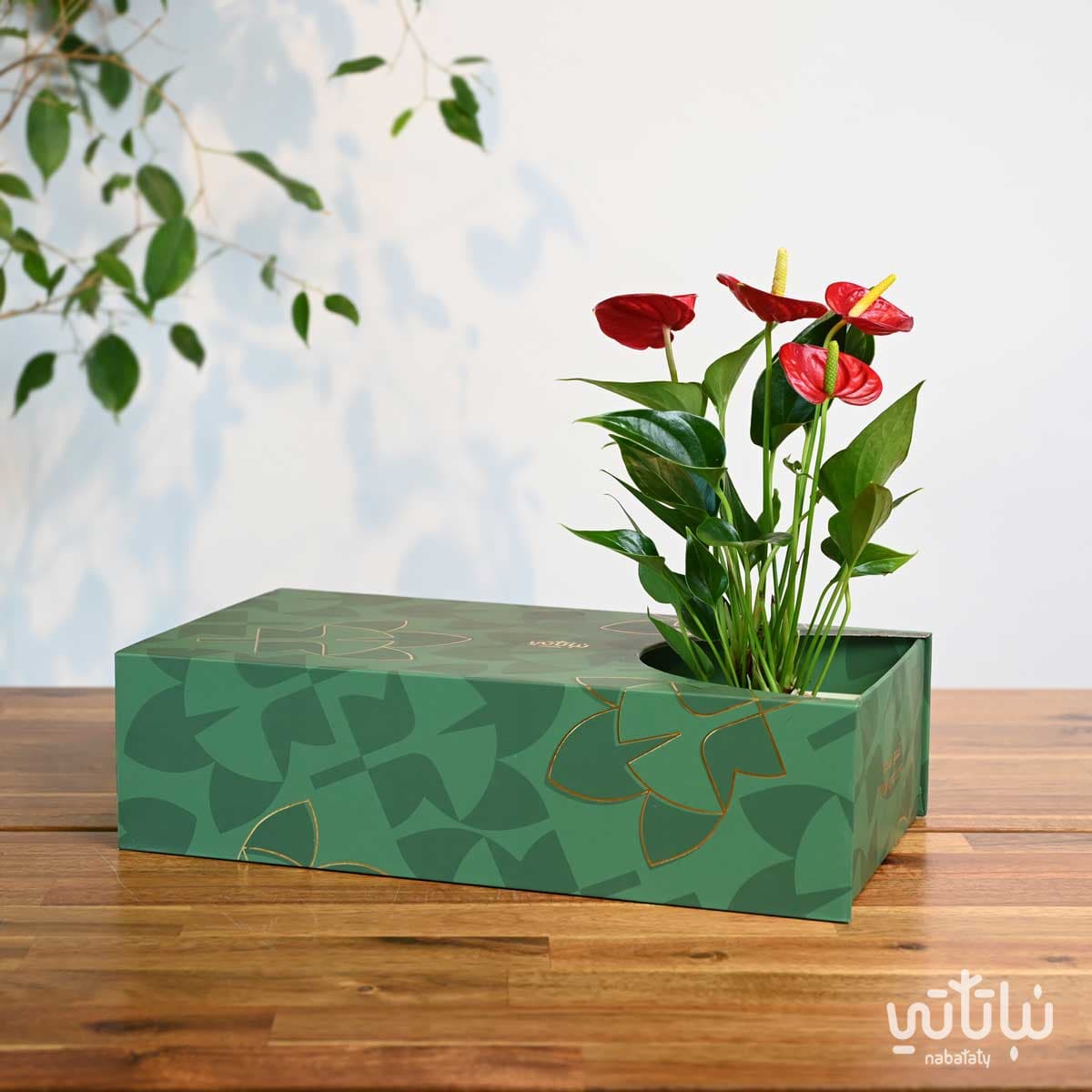 هدية نبتة الأنتوريوم مع تشوكلت أنوش ومرش ذهبي