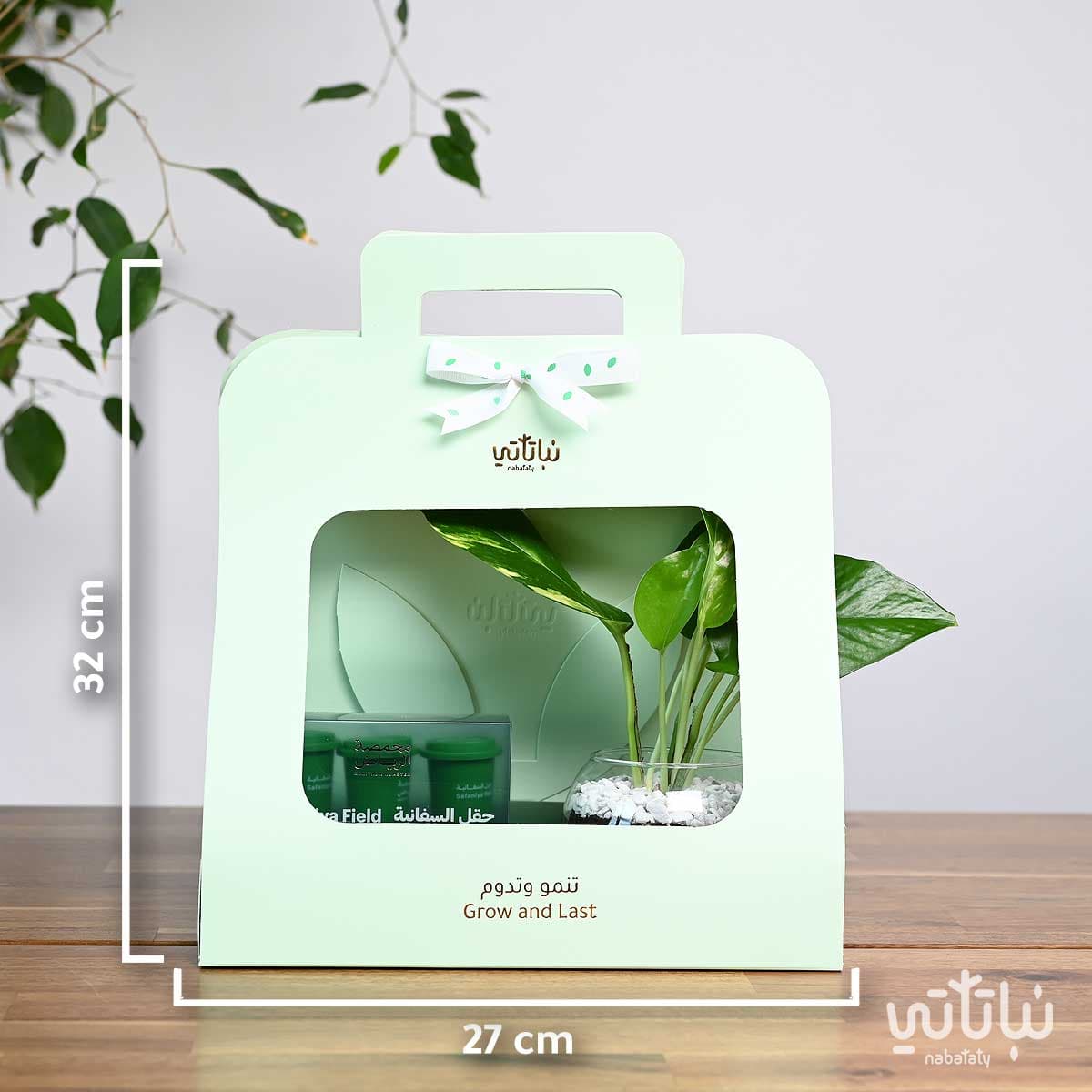 هدية نبتة البوتس مع قهوة سريعة الذوبان – حقل السفانية 3