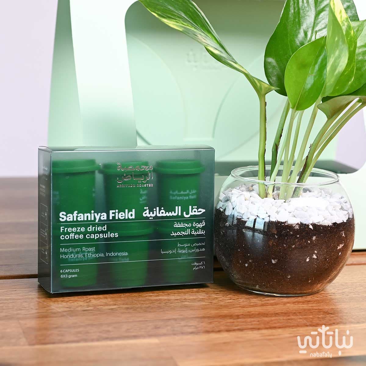 هدية نبتة البوتس مع قهوة سريعة الذوبان – حقل السفانية 2