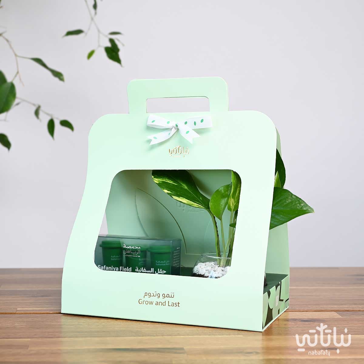 هدية نبتة البوتس مع قهوة سريعة الذوبان – حقل السفانية 1