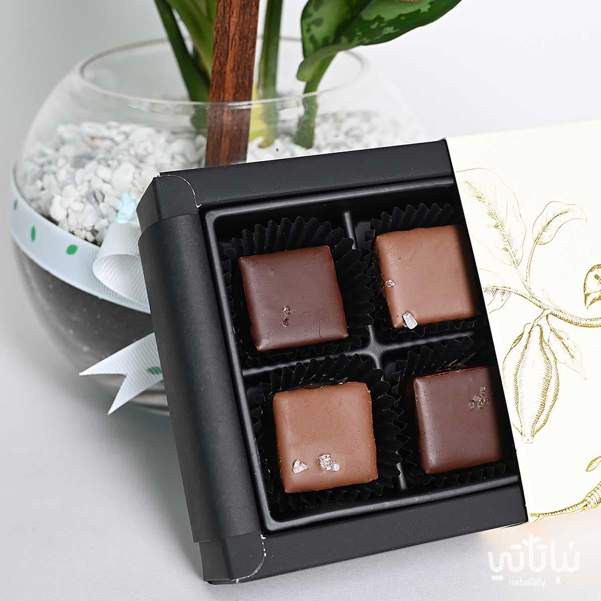 هدية قدامك العافية نبتة الاجلونيما وتشوكلت أنوش 3