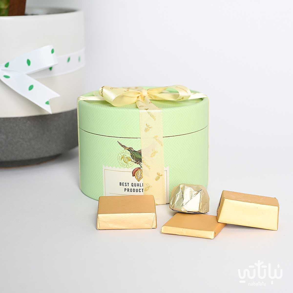 هدية مبروك نبتة الاجلونيما و سبحة 4