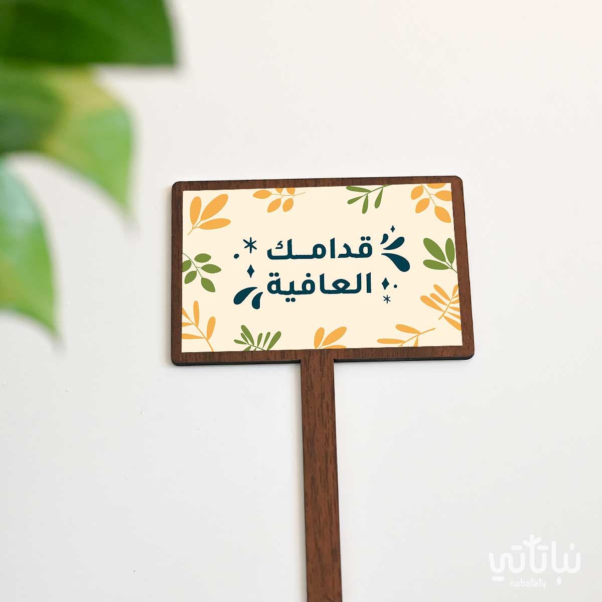 تغريسة قدامك العافية 1