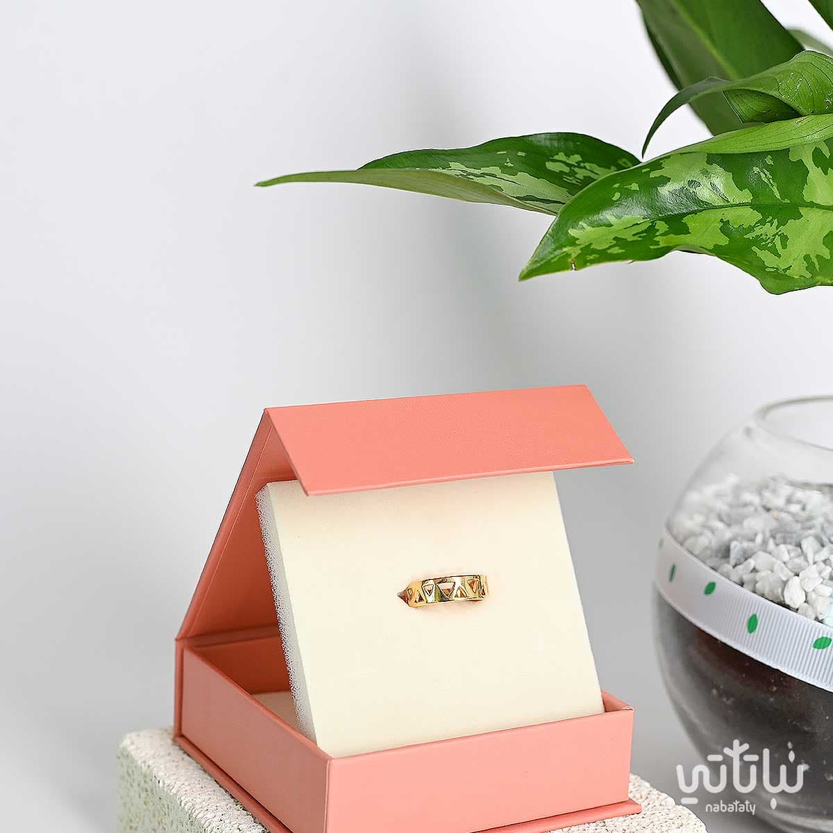 هدية يوم الميلاد نبتة الاجلونيما و خاتم الطراز السلماني 3