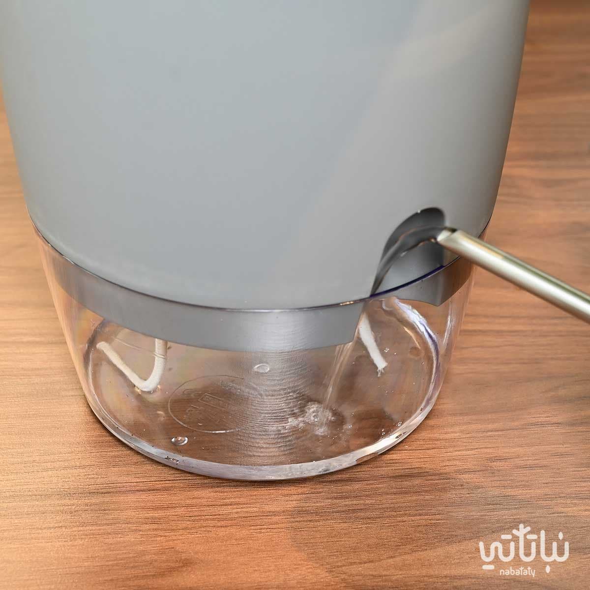 نبتة ديفنباخيا في حوض شفاف ذاتي الري رمادي 3