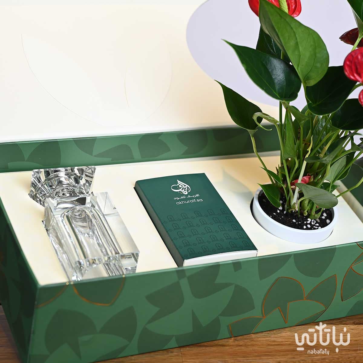 هدية نبتة الأنتوريوم مع مبخره و عود 3