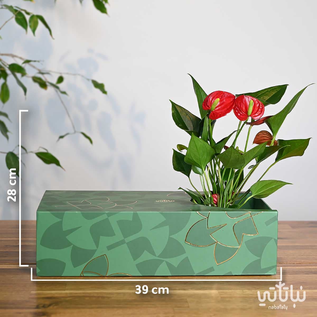 هدية نبتة الأنتوريوم مع مبخره و عود 2