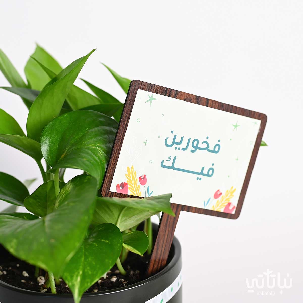 هدية فخورين فيك نبتة البوتس وتشوكلت أنوش 3