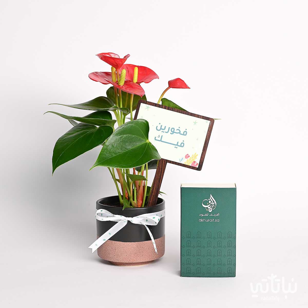 Proud of You gift Anthurium plant with Moroccan oud 2