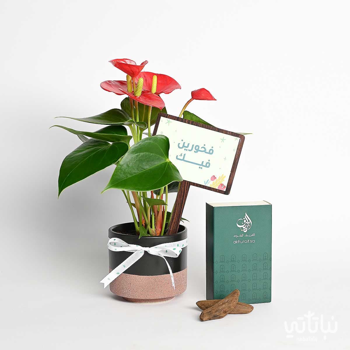 Proud of You gift Anthurium plant with Moroccan oud 1