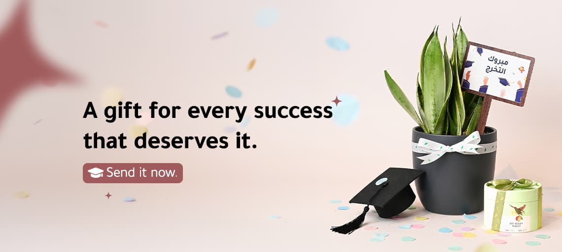 Nabataty Banner