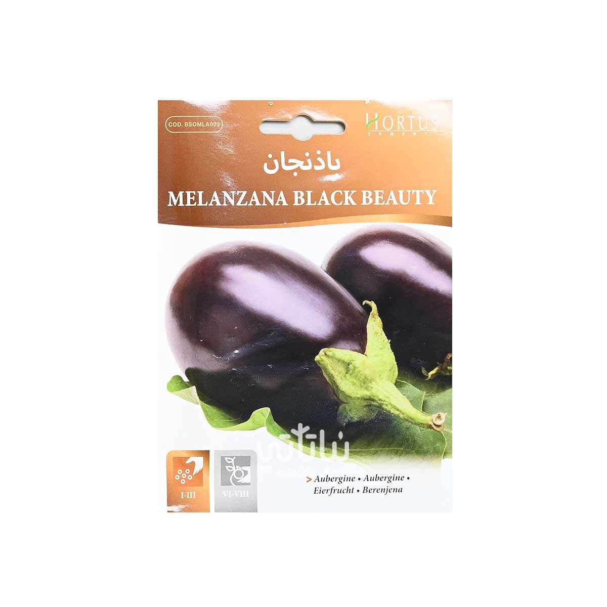 بذور باذنجان