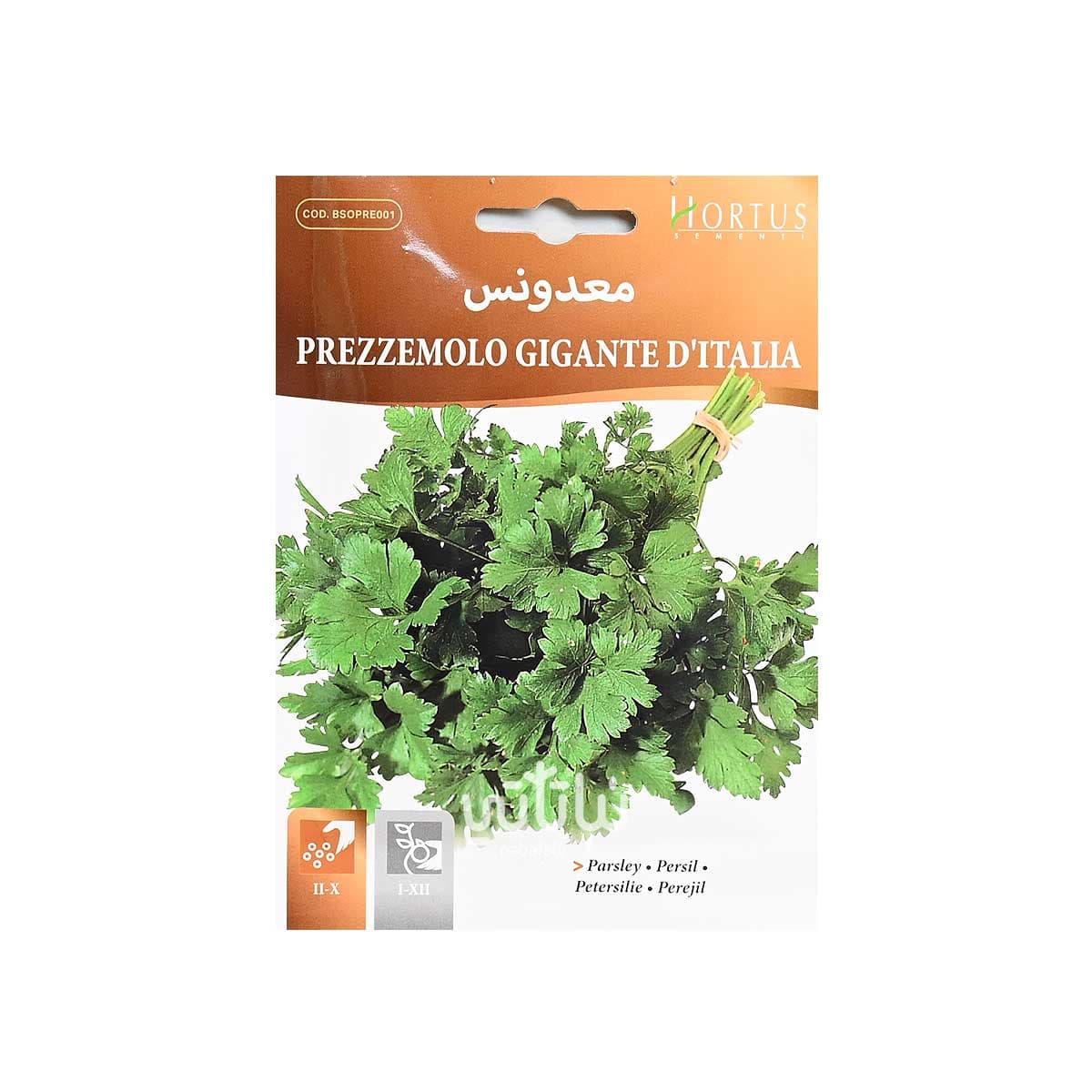 بذور بقدونس 1