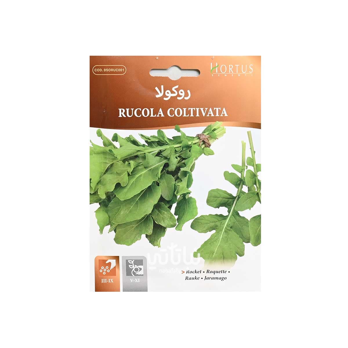 بذور جرجير (روكولا)